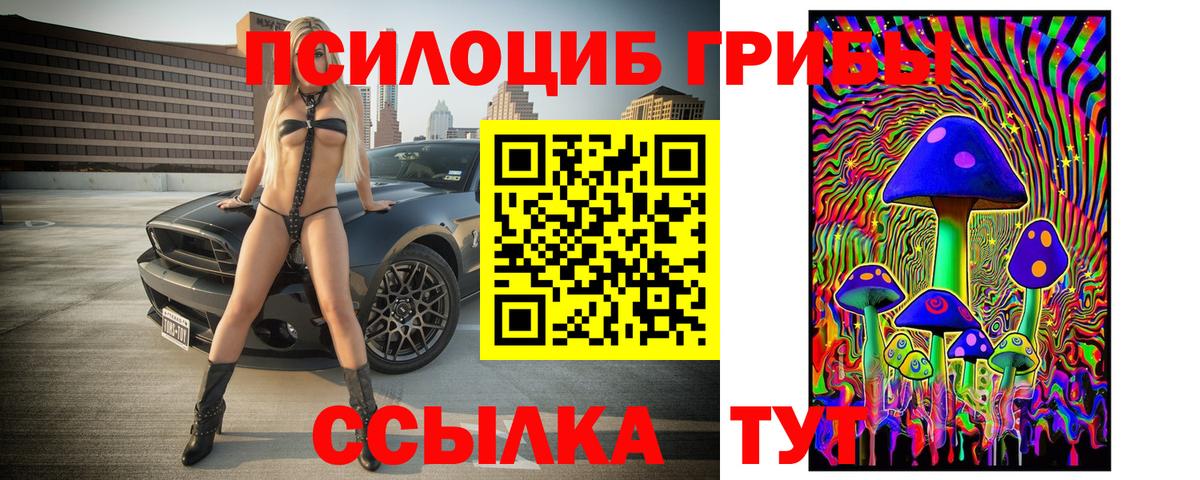 Россия  Псилоцибиновые грибы MAGIC MUSHROOMS  Псилоцибиновые грибы Psilocybine cubensis  Вход с VPN 